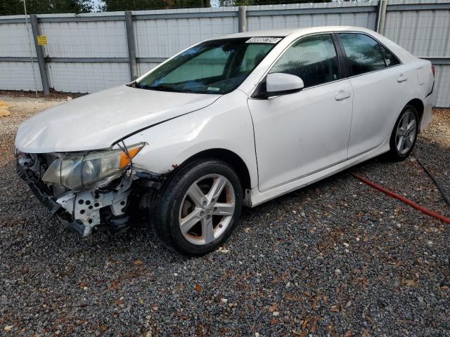 Lot #2542388936 2012 TOYOTA CAMRY BASE salvage car