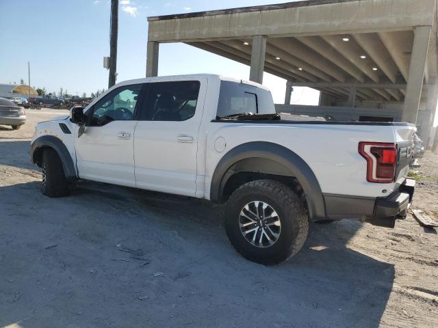 2019 Ford F150 Raptor VIN: 1FTFW1RG6KFA85182 Lot: 51735024