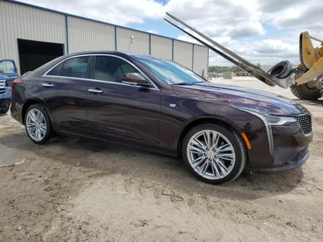 2022 Cadillac Ct4 Premium Luxury VIN: 1G6DB5RK0N0111087 Lot: 51968354
