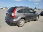 HONDA CR-V EX photo