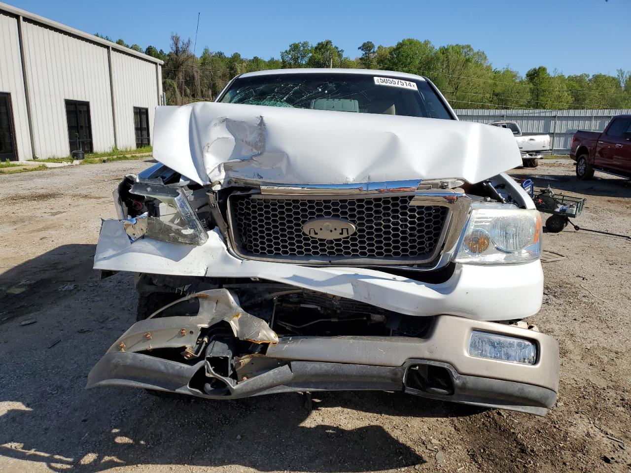 1FTPX14535NA13325 2005 Ford F150