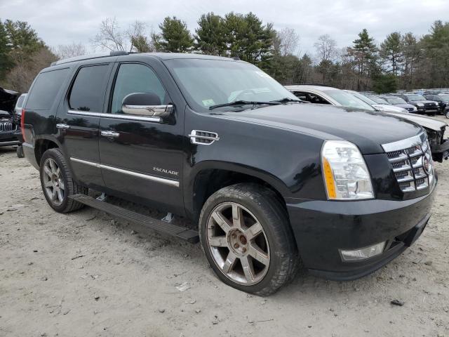 Lot #2437660239 2010 CADILLAC ESCALADE P salvage car