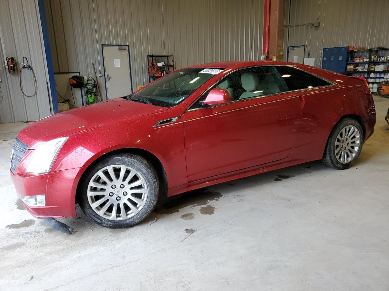 1G6DL1EDXB0145417 2011 Cadillac Cts Performance Collection