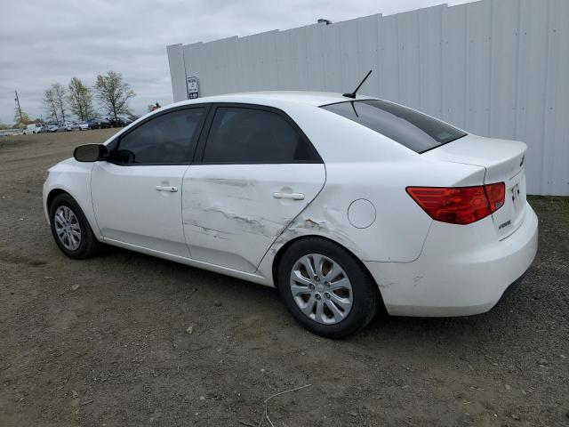 2012 Kia Forte Ex VIN: KNAFU4A27C5628633 Lot: 49412384