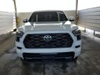 TOYOTA SEQUOIA SR photo