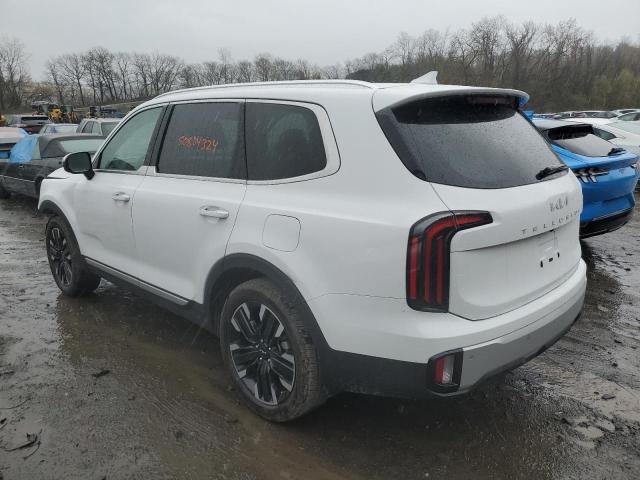 2024 Kia Telluride Sx VIN: 5XYP5DGC5RG461323 Lot: 50804324