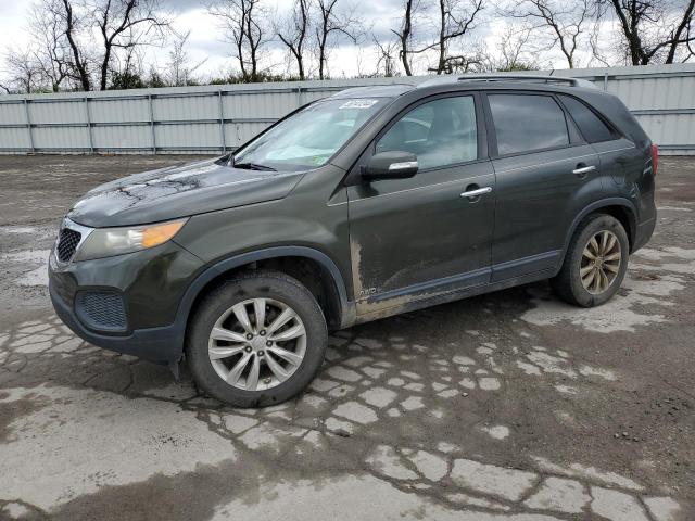 2011 Kia Sorento Base VIN: 5XYKTDA25BG092629 Lot: 50141244