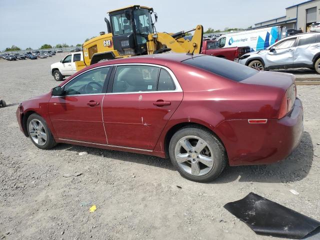 2011 Chevrolet Malibu 1Lt VIN: 1G1ZC5E13BF274623 Lot: 51207504