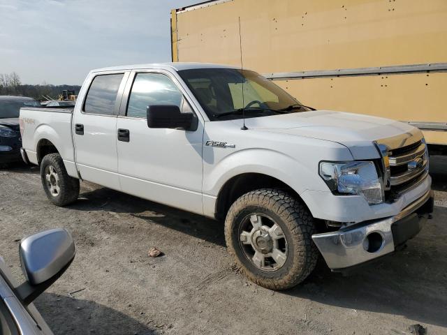 2013 Ford F150 Supercrew VIN: 1FTFW1EF3DFA48073 Lot: 49081244