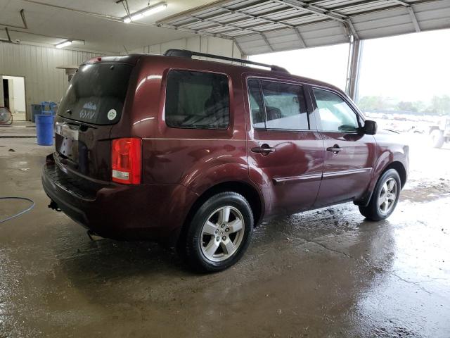 2009 Honda Pilot Exl VIN: 5FNYF38569B019220 Lot: 50976044