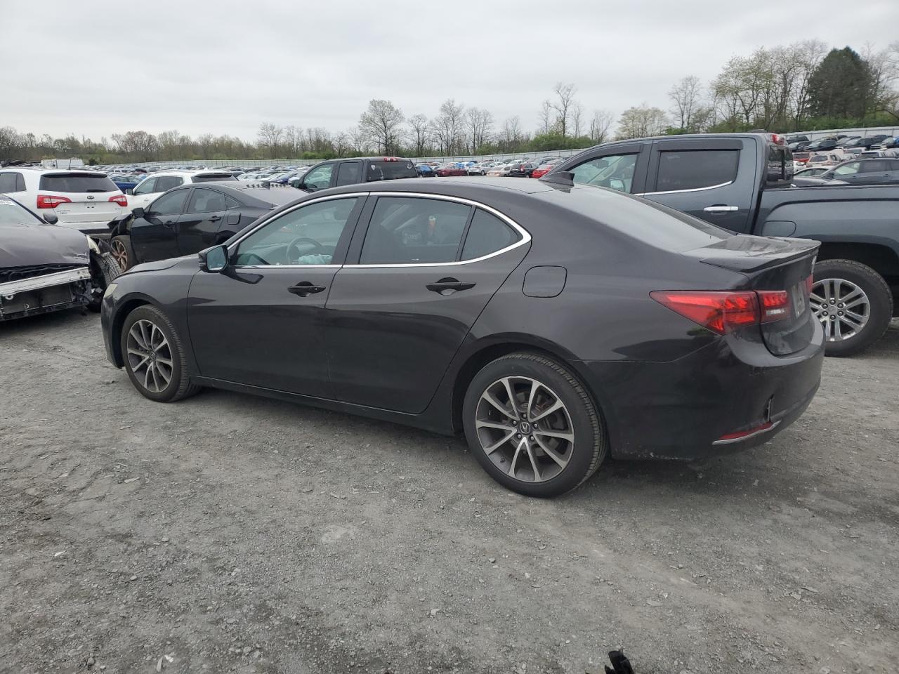 19UUB3F55FA007711 2015 Acura Tlx Tech