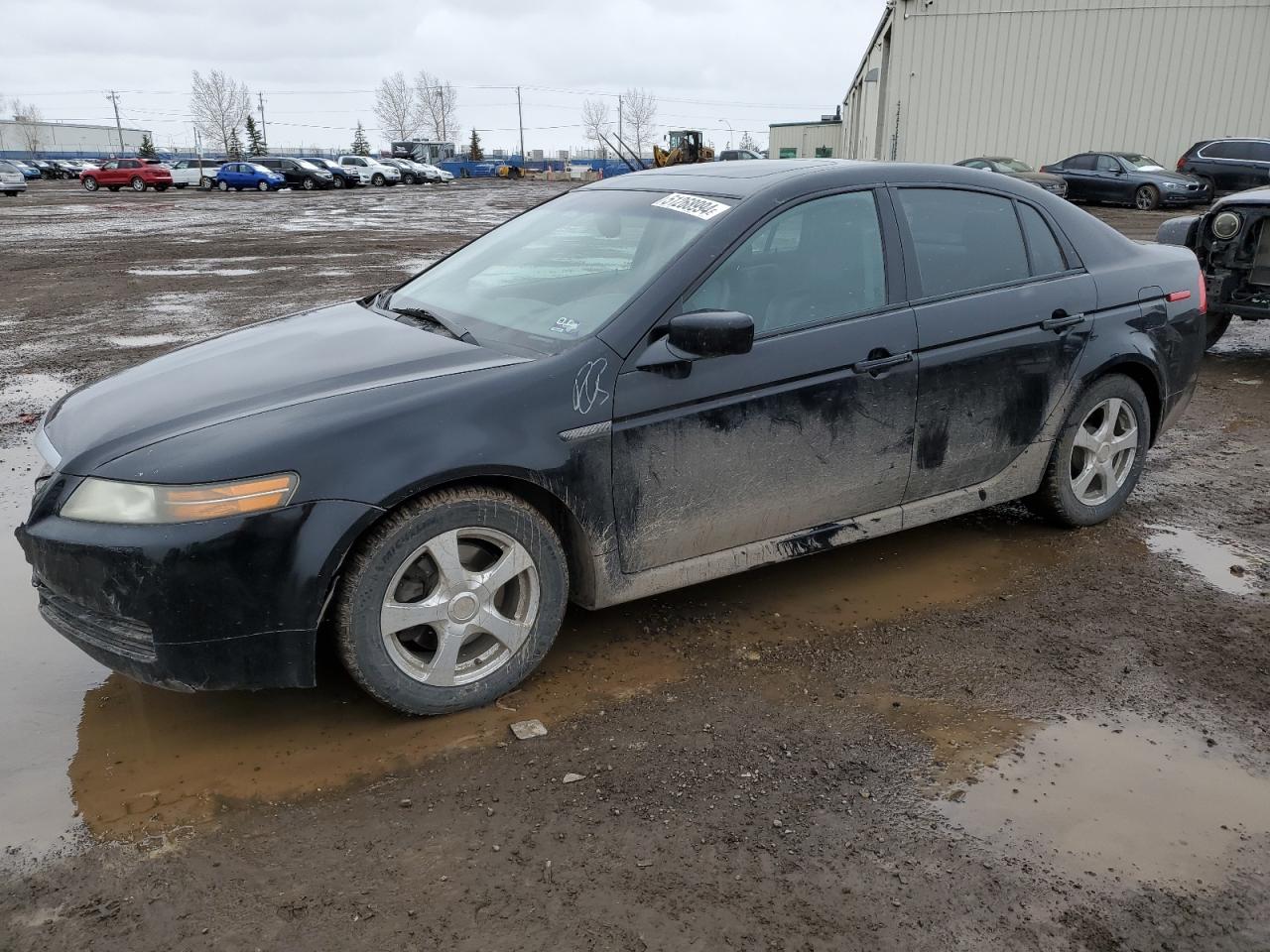 19UUA66246A071880 2006 Acura 3.2Tl