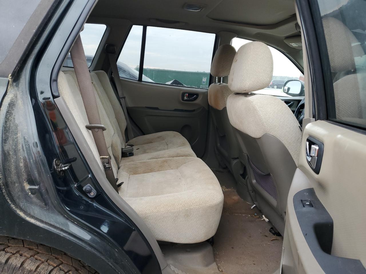 KM8SC13D86U100087 2006 Hyundai Santa Fe Gls