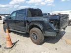 Lot #2993608192 2023 FORD F150 RAPTO