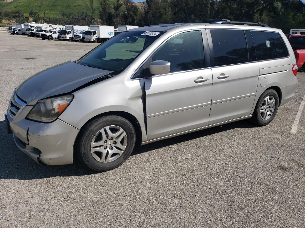 5FNRL38775B131551 2005 Honda Odyssey Exl