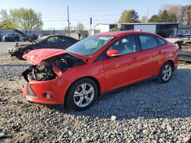 Lot #2503618801 2014 FORD FOCUS SE salvage car