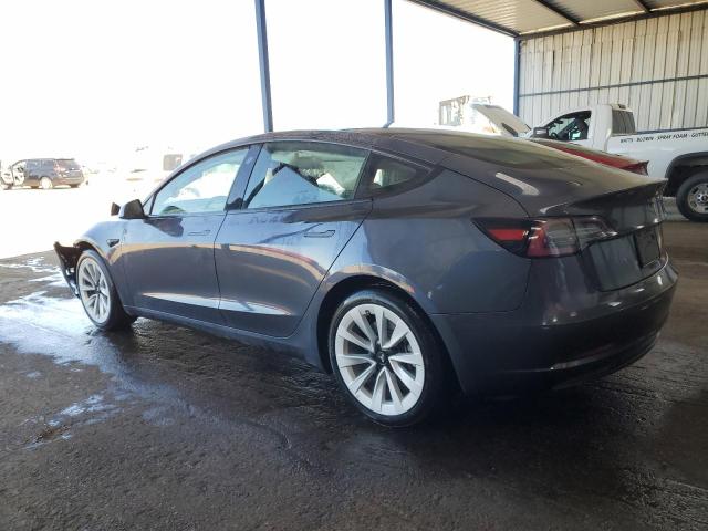 2023 Tesla Model 3 VIN: 5YJ3E1EA3PF455376 Lot: 40919724