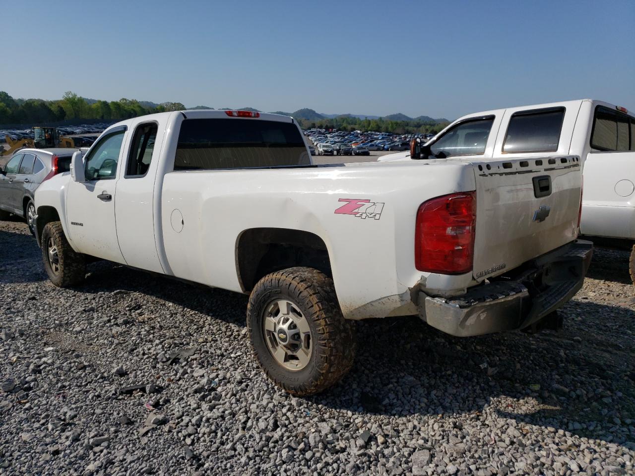 Lot #3024236849 2013 CHEVROLET SILVERADO