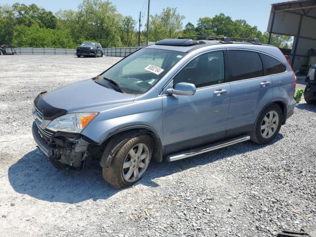 2007 Honda Cr-V Exl VIN: JHLRE38787C069073 Lot: 50852184