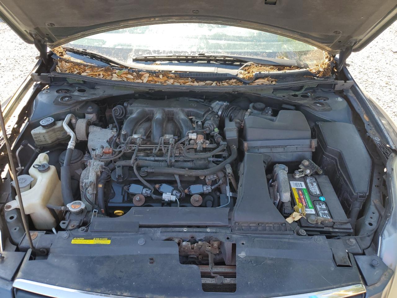 1N4BL21E88C169642 2008 Nissan Altima 3.5Se