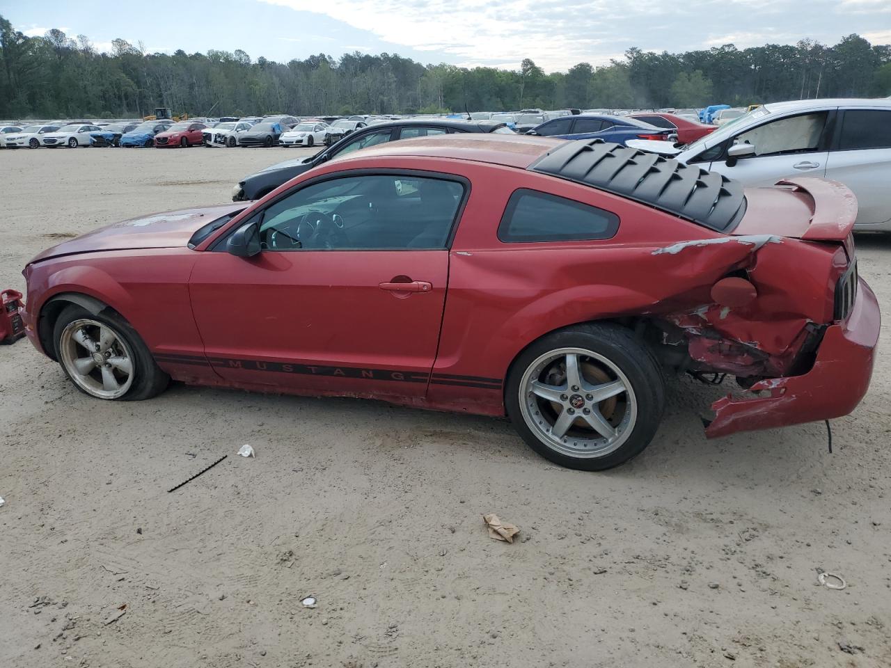 Lot #2484455527 2005 FORD MUSTANG