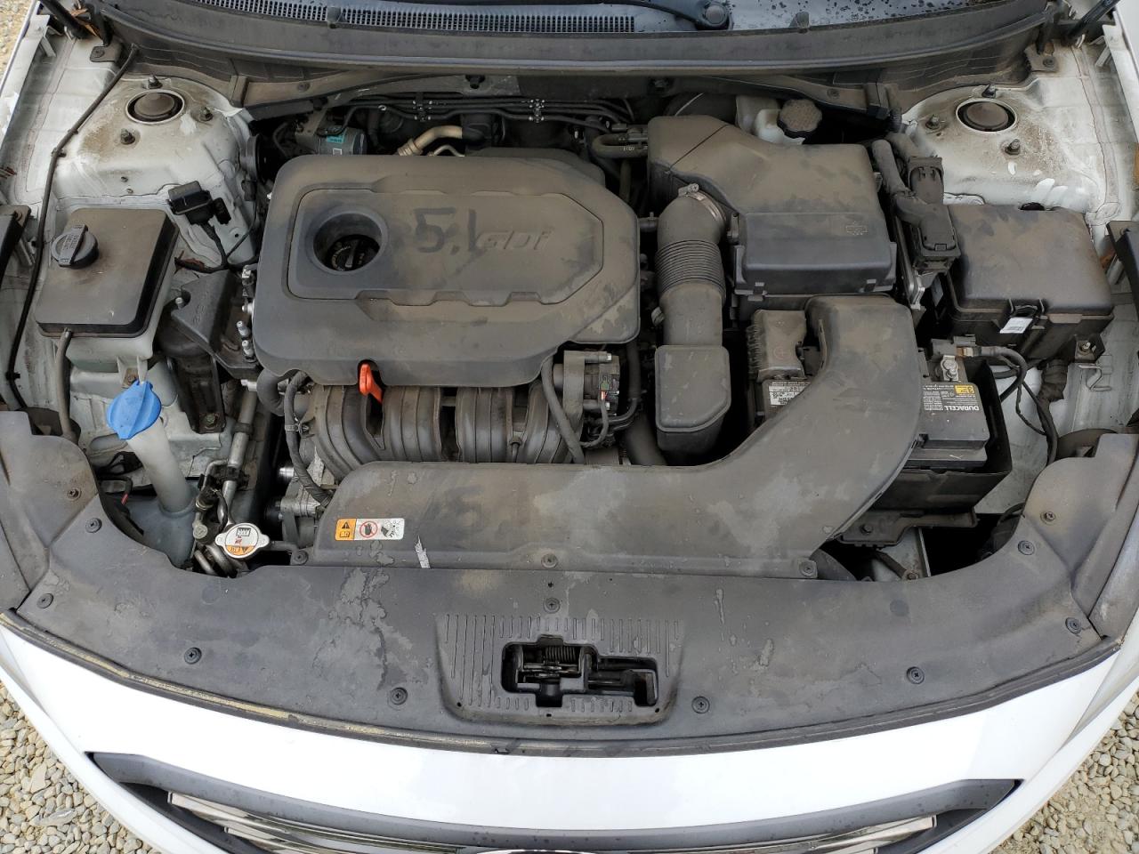 5NPE34AF5FH101554 2015 Hyundai Sonata Sport