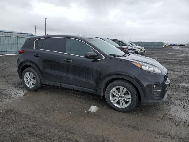 2019 Kia Sportage Lx VIN: KNDPM3AC2K7536035 Lot: 49939754