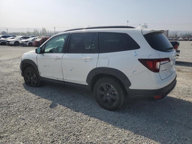 2022 HONDA PILOT TRAI 5FNYF6H80NB077586