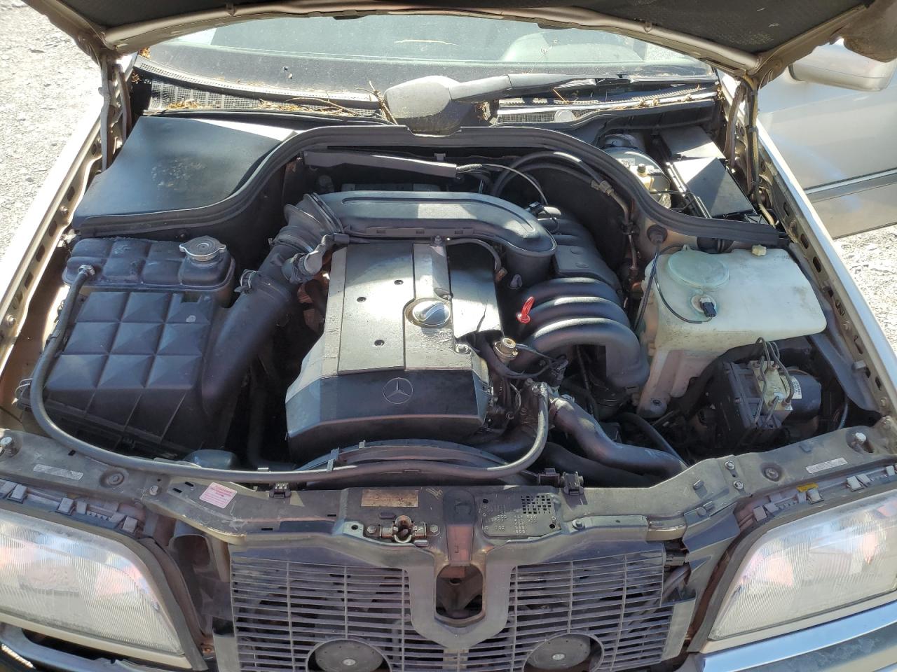 wdbha28e6tf346291 WDBHA28E6TF346291 1996 Mercedes-Benz C 280