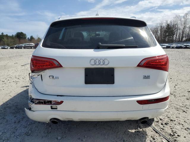 2010 Audi Q5 Premium Plus VIN: WA1LKAFP6AA027226 Lot: 51136884