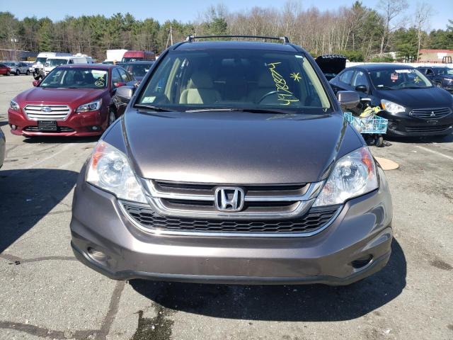 2010 Honda Cr-V Exl VIN: 5J6RE4H79AL049743 Lot: 49788774