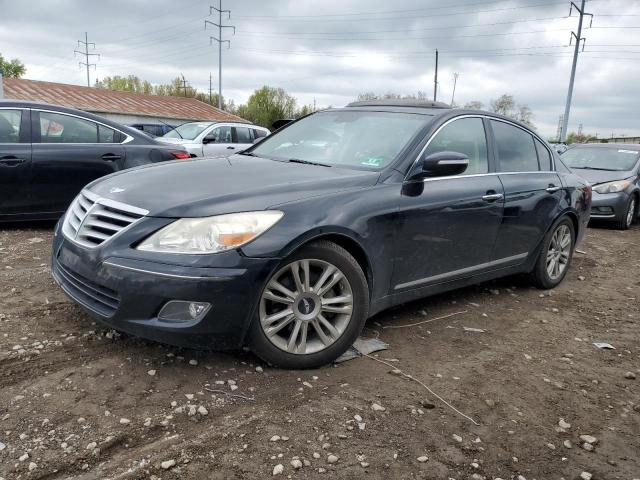 2009 Hyundai Genesis 4.6L VIN: KMHGC46F09U054876 Lot: 52113184