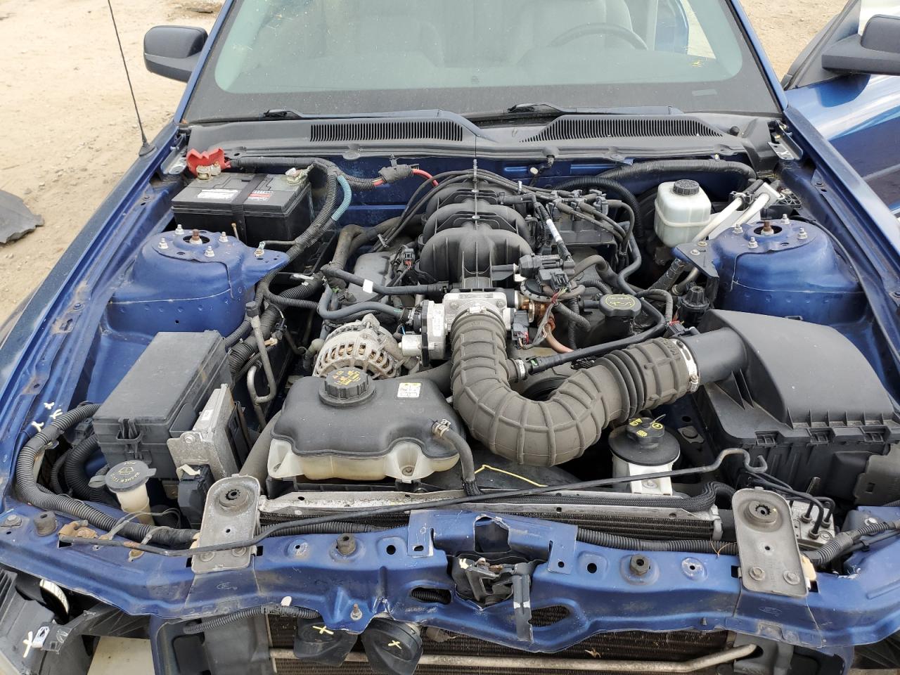 1ZVFT80N165165768 2006 Ford Mustang