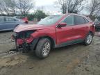 2020 FORD ESCAPE SE - 1FMCU0G60LUA95034