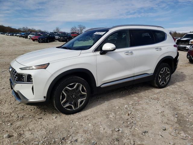 2022 Hyundai Santa Fe Limited VIN: 5NMS4DAL8NH448717 Lot: 49340814