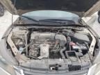 HONDA ACCORD EXL photo