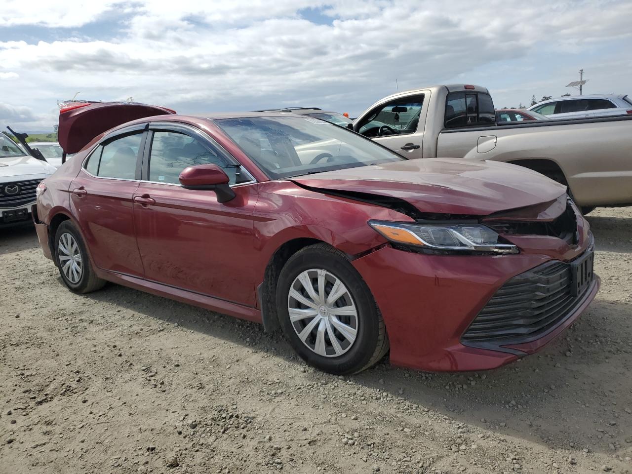 2018 Toyota Camry Le vin: 4T1B31HKXJU504380