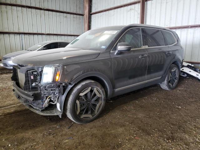 2023 Kia Telluride Ex VIN: 5XYP3DGC1PG359911 Lot: 52516564