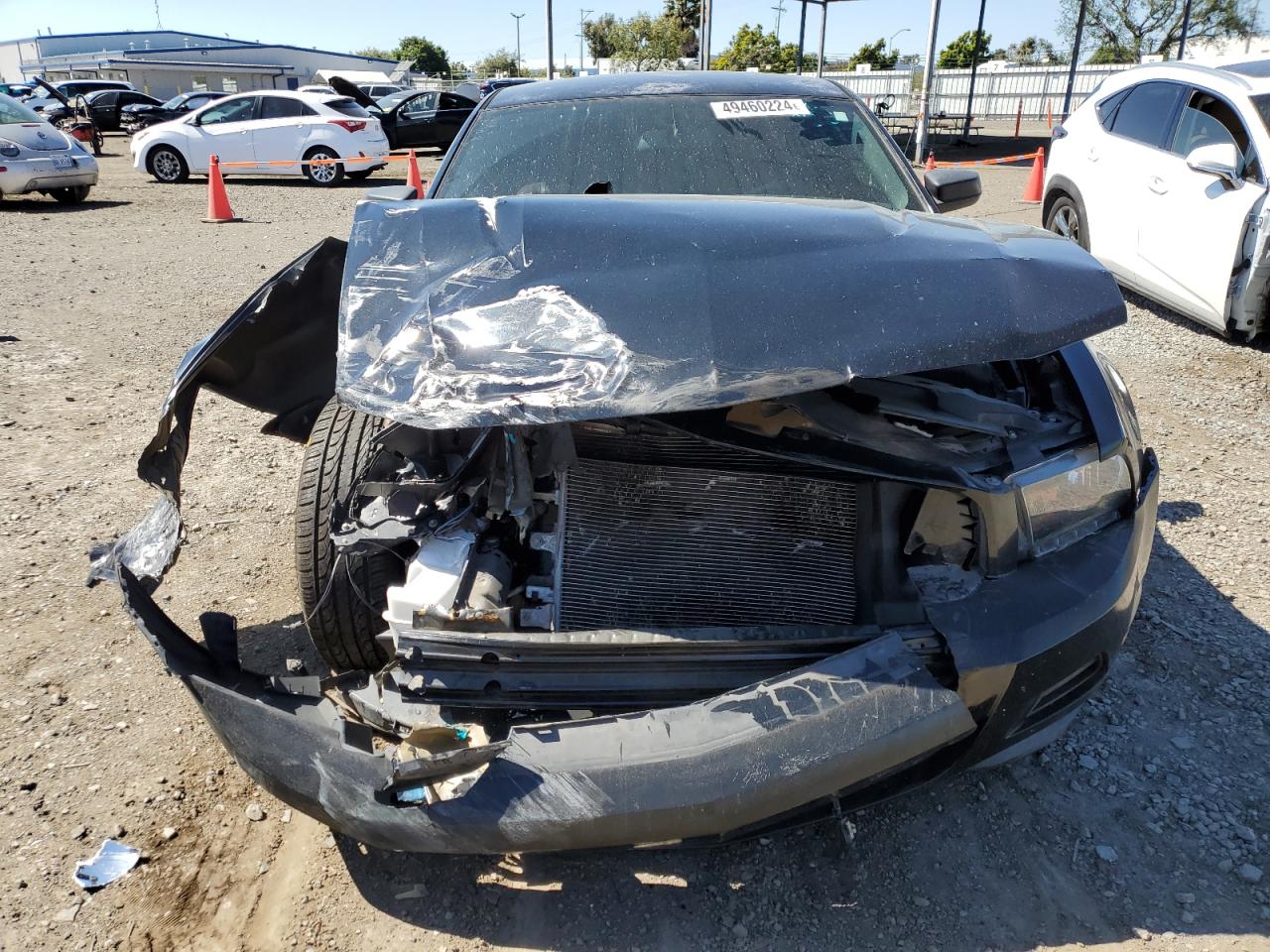 1ZVBP8AM3B5111598 2011 Ford Mustang