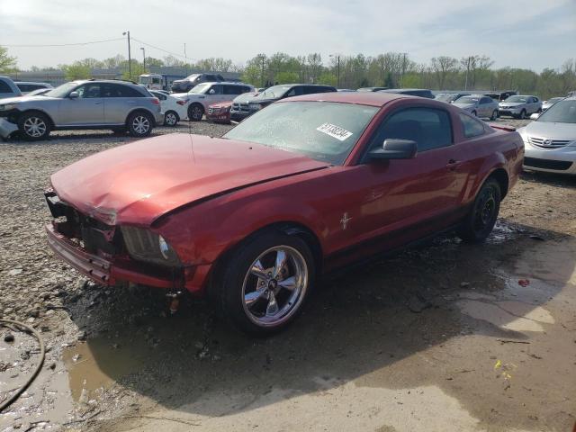 2007 Ford Mustang VIN: 1ZVFT80N375334013 Lot: 51138234