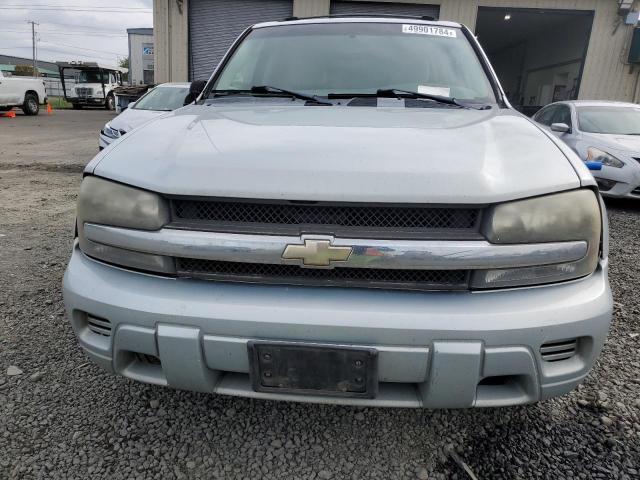 2007 Chevrolet Trailblazer Ls VIN: 1GNDT13S172251787 Lot: 49901784