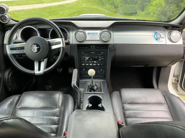 Lot #2484681015 2007 FORD MUSTANG GT salvage car