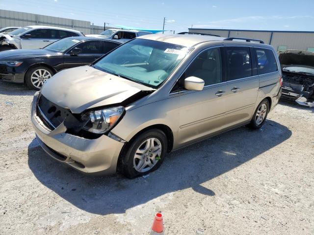 2005 Honda Odyssey Ex VIN: 5FNRL384X5B017033 Lot: 52086964