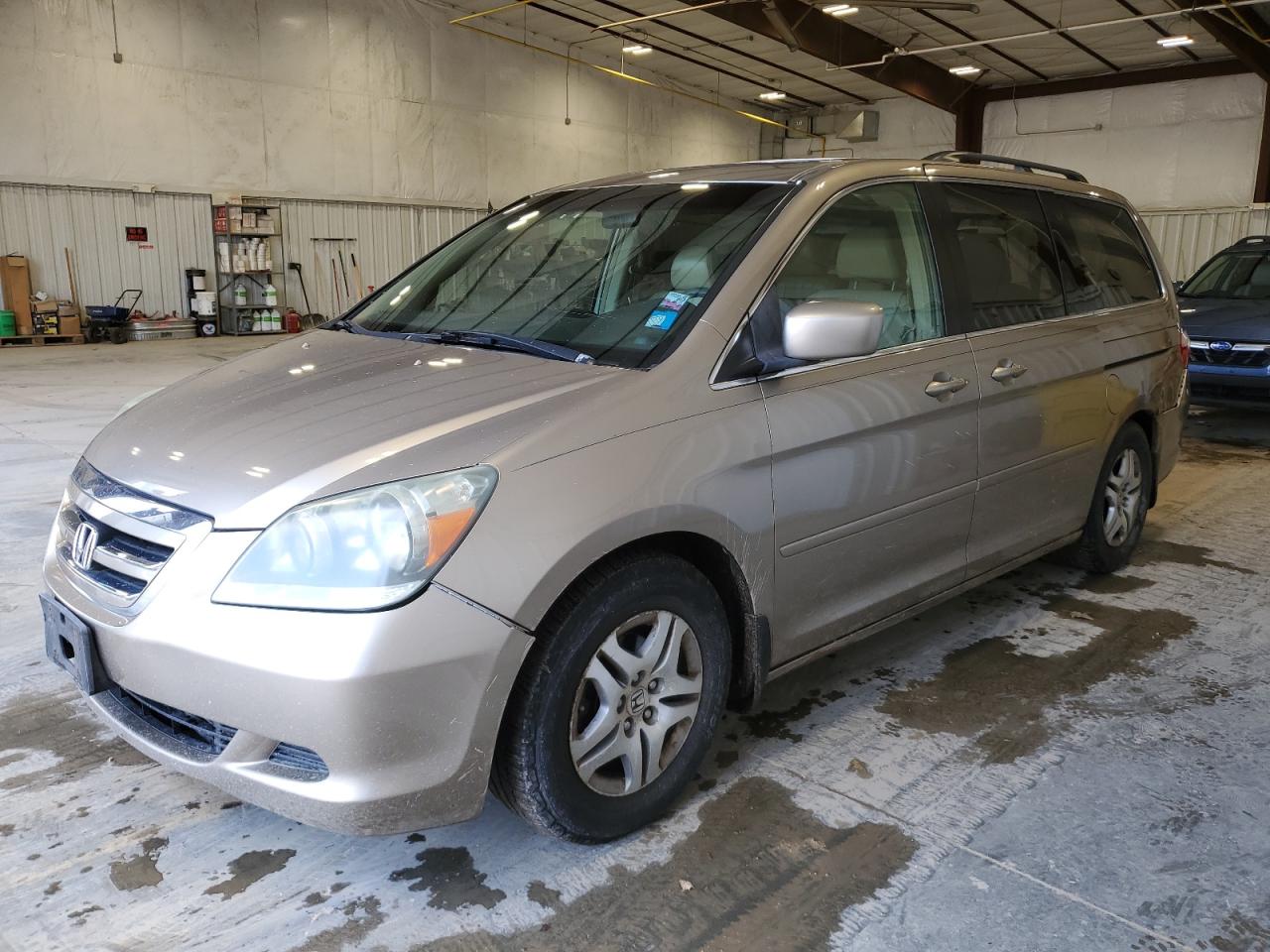 5FNRL38755B064111 2005 Honda Odyssey Exl