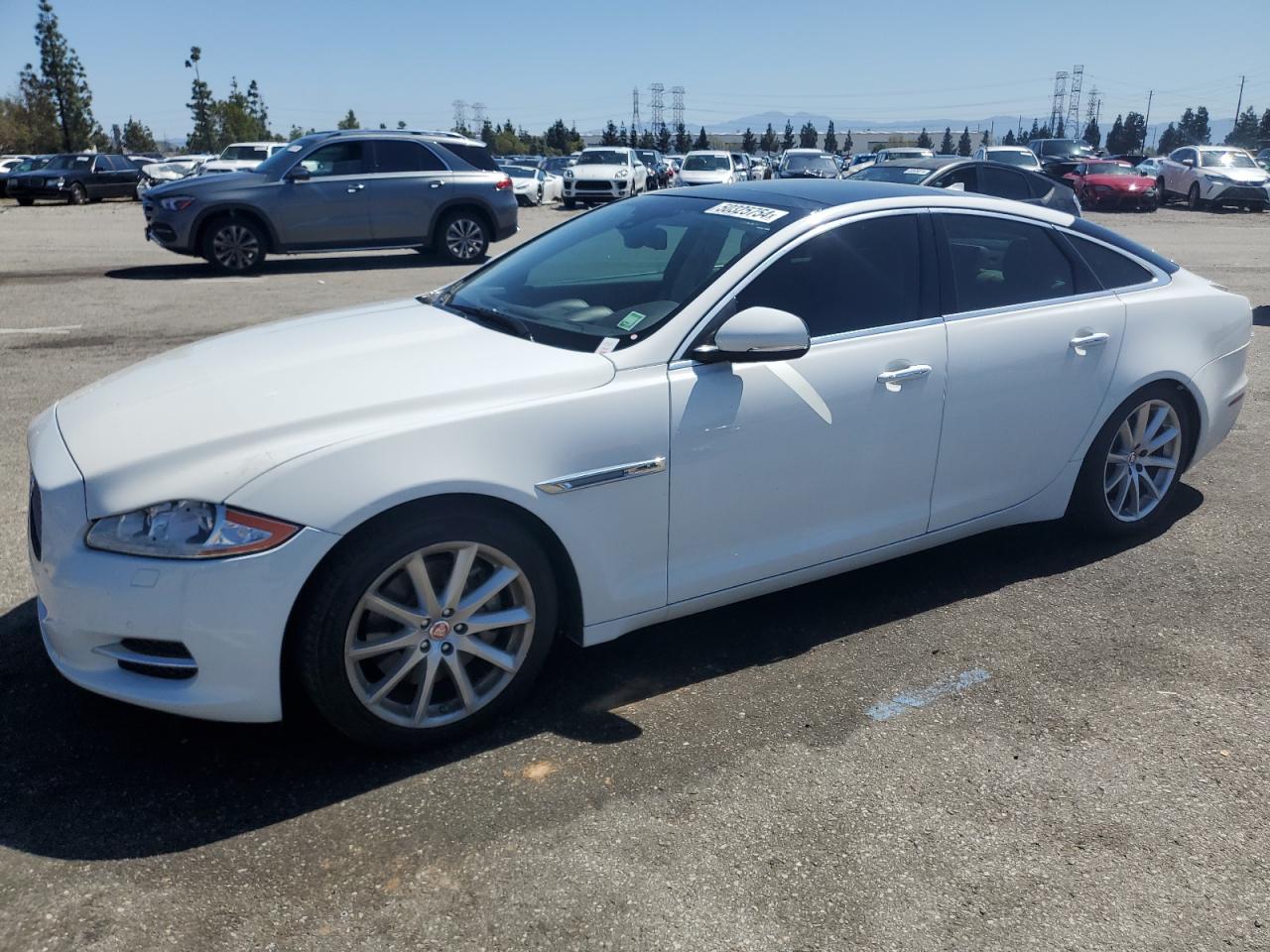 2014 Jaguar Xj vin: SAJWJ1CD6E8V58974