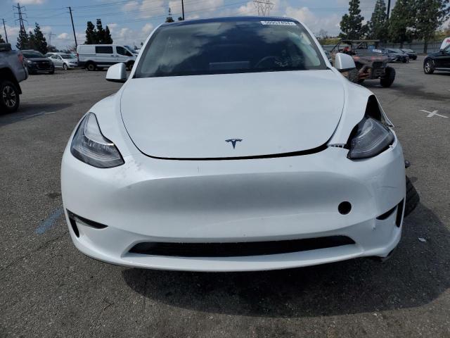 2023 Tesla Model Y VIN: 7SAYGDEE7PA128905 Lot: 50957494