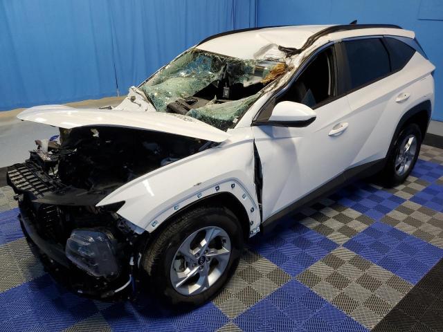 Lot #2519796205 2024 HYUNDAI TUCSON SEL salvage car