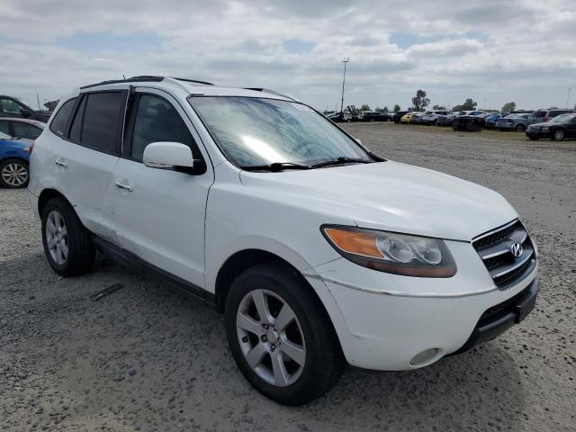 2007 Hyundai Santa Fe Se VIN: 5NMSH13E87H090135 Lot: 52041954