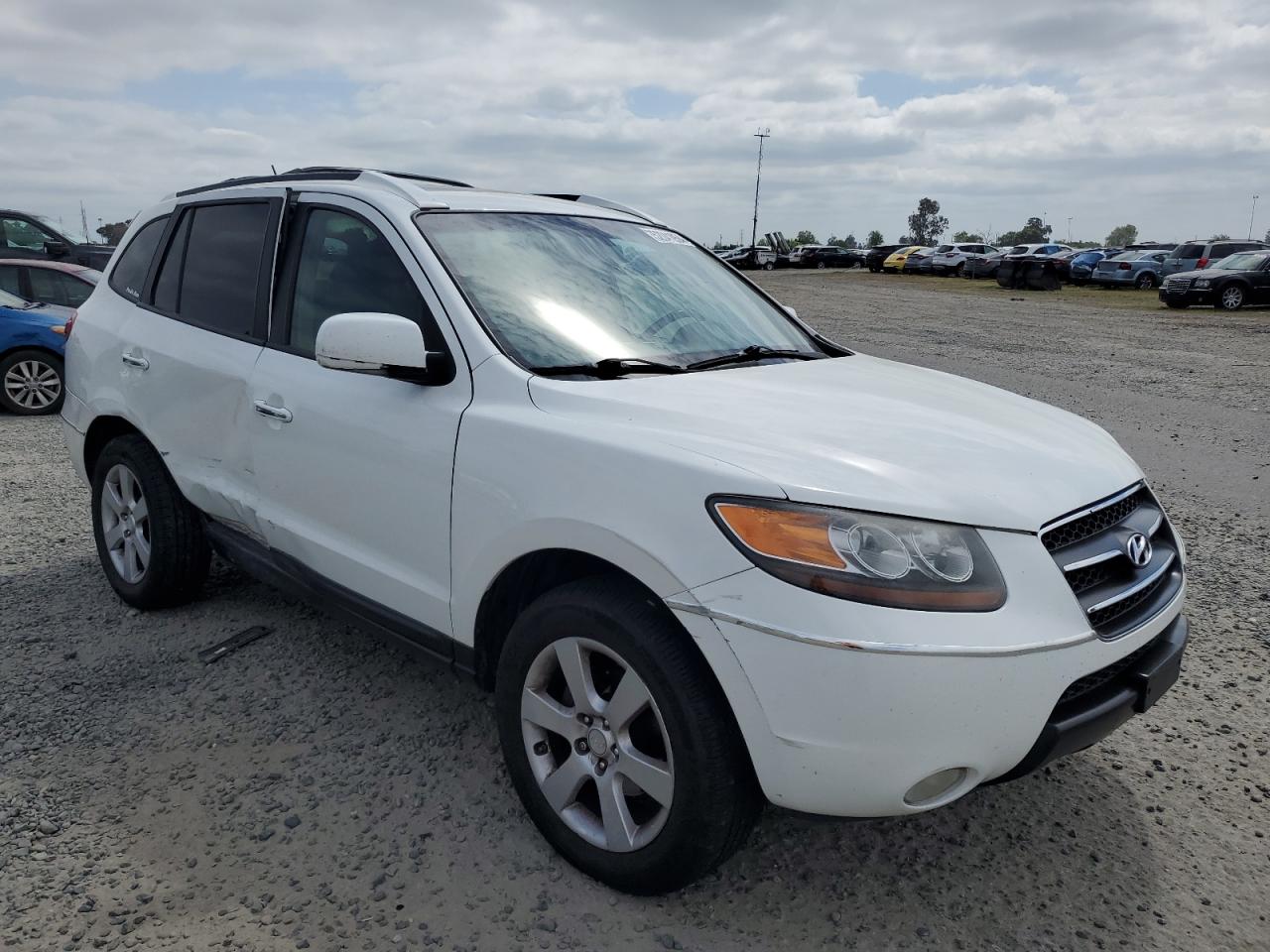 5NMSH13E87H090135 2007 Hyundai Santa Fe Se