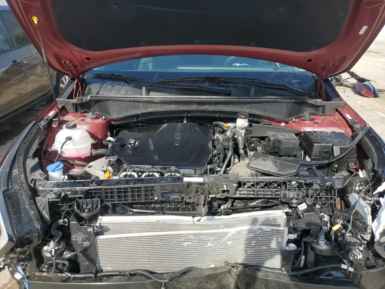 5XYK5CDF5RG184756 2024 Kia Sportage Sx Prestige